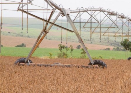 Rússia promete manter comércio de fertilizantes com Brasil