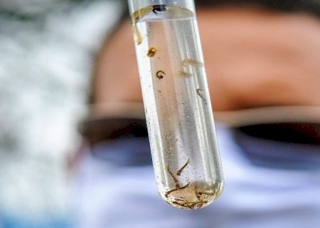 Mato Grosso do Sul teve 17 mortes por dengue no primeiro semestre deste ano