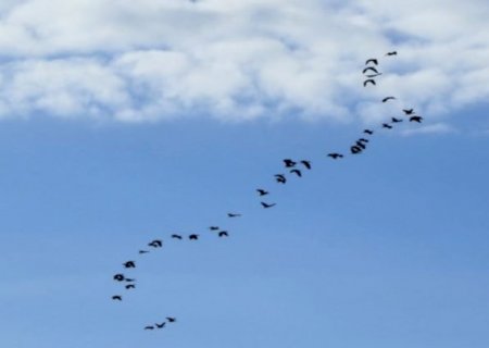 Domingo será de sol e tempo seco em Mato Grosso do Sul, aponta previsão