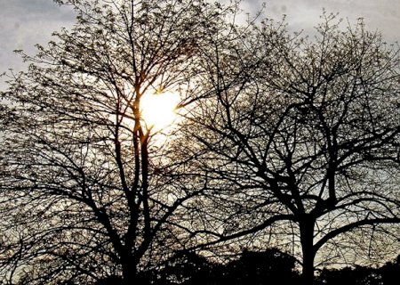 Previsão do tempo: sexta-feira será de ar seco, sol e poucas nuvens no Estado