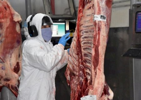 Mercado de carnes continua aquecido em MS e exportações cresceram quase 50% este ano