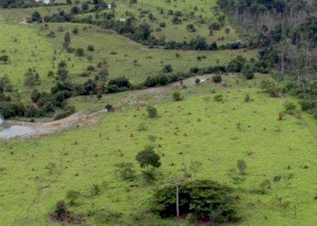 Proprietário rural pode emitir Certificado de Cadastro de Imóvel