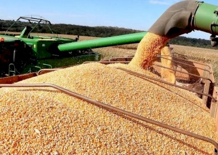 Mais uma vez soja, celulose e carne bovina puxam para cima as exportações de Mato Grosso do Sul   