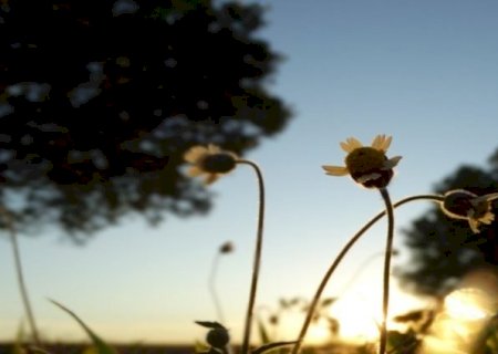 Quarta-feira será seca e com muito sol em Mato Grosso do Sul, aponta previsão do tempo