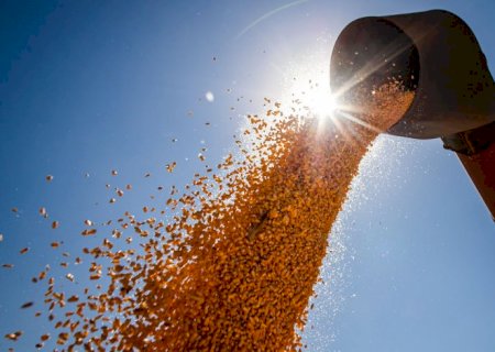IBGE estima safra recorde de 263,4 milhões de toneladas em 2022