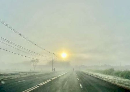 Geada toma conta de paisagem e produz imagem rara nesta quinta-feira em MS