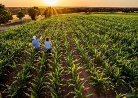 Produtor deixou a cidade e foi morar no campo, com apoio do Senar