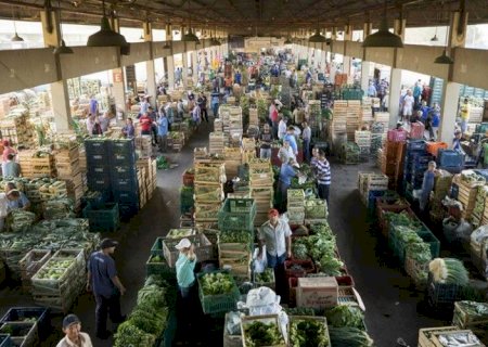 Mais de 85% dos produtos comercializados na Ceasa/MS são importados