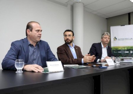 Safra de soja 22/23 deve superar 12 milhões de toneladas em MS