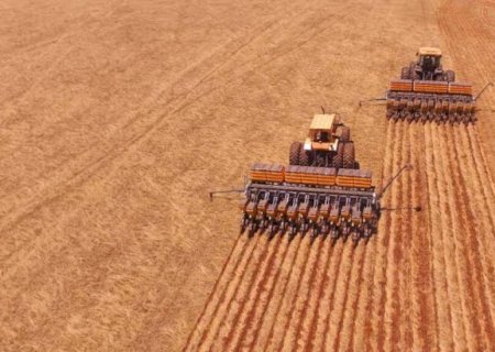 Plantio da soja entra na reta final com 96% das lavouras em boas condições