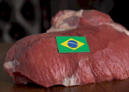 Brasil bate recorde com exportações de carne bovina