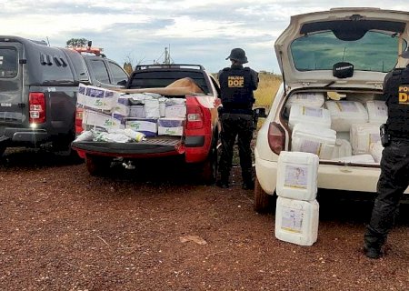 DOF apreende R$ 1 milhão em agrotóxico contrabandeado