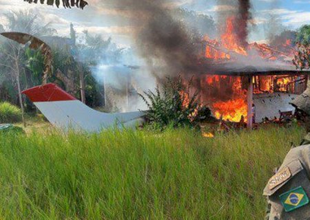 STF rejeita lei de Roraima que proíbe destruição bens apreendidos