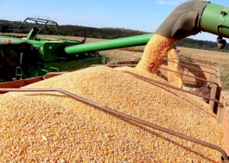 Região sul de MS tem colheita de soja mais avançada