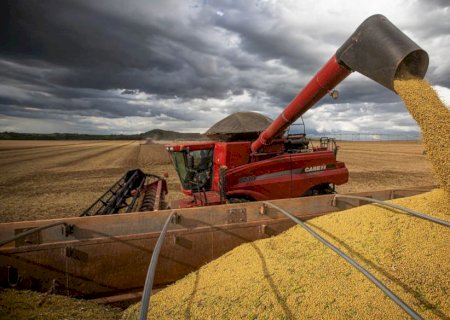 2023 deve atingir recorde de 302 milhões de toneladas na Produção de grãos