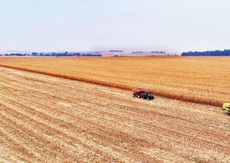 Mato Grosso do Sul foi terceiro estado que mais gerou emprego no agronegócio
