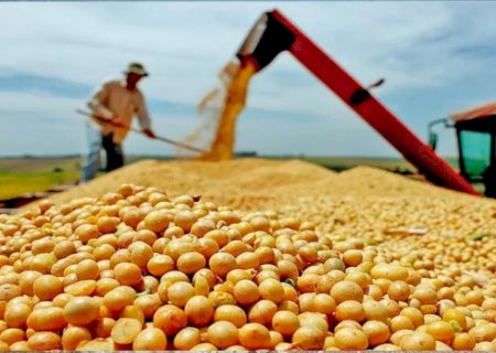 De acordo com dados do Cepea, preços da soja caem