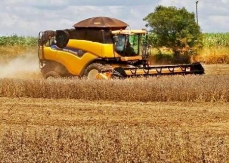 Produção agrícola aumenta e pode superar 70 milhões de toneladas