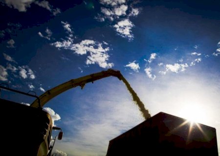 Mato Grosso do Sul pode concluir no decorrer dessa semana colheita da soja