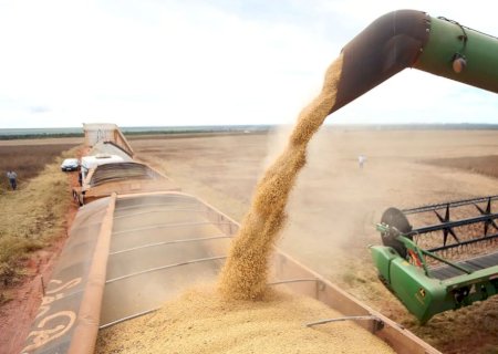 IBGE estima maior safra da história do Brasil