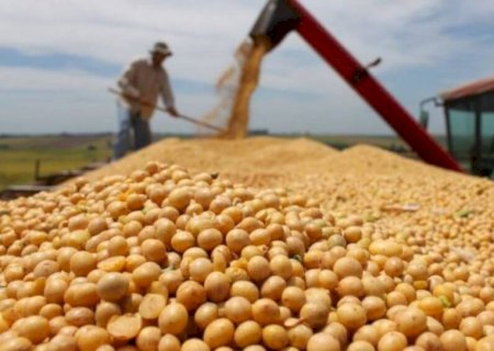 Colheita da soja deve se estender e produtividade pode superar estimativa