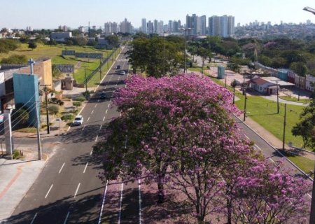 Terça-feira de tempo seco e quente com pouca possibilidade de chuva