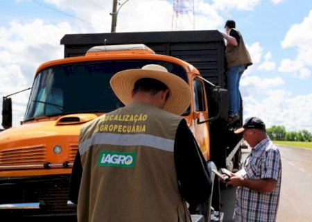 Iagro define normas para controle do Mormo e transporte de equídeos no MS