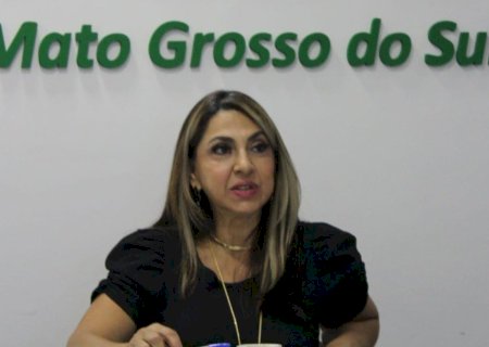 FCDL-MS avisa sobre "onda de demissões e até fechamento de lojas"