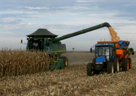 Colheita do milho supera 600 mil hectares e deve acelerar em Mato Grossso do Sul