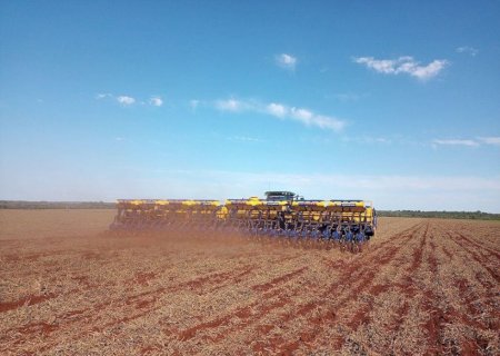 Autorizado desde o dia 16 de setembro, o plantio da safra de soja 2023/2024