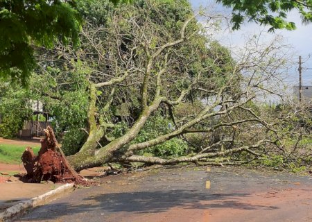 Deputada Lia Nogueira busca apoio do governo após tempestade em Dourados