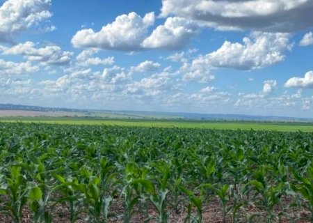 Safra agrícola de MS cresce 26% e deve fechar com 28 milhões de toneladas