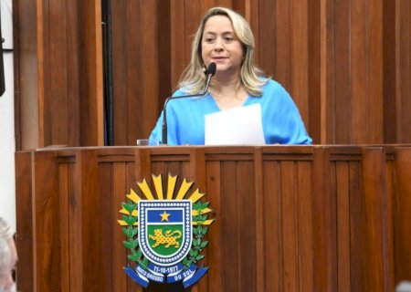 Demanda de saúde em dourados leva deputada a pedir segunda upa ao governador e ministro da saúde