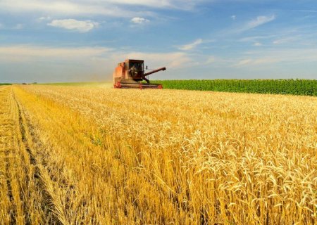Aplicação do crédito rural chega a R$ 147 bilhões em três meses