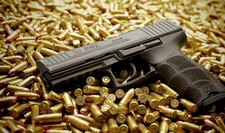 Registro de armas de fogo em 2023 caiu 82% em relação ao ano anterior