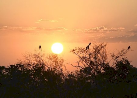 Sexta-feira de sol tem tempo estável e baixa probabilidade de chuva em MS