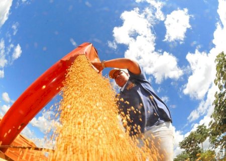 Levantamento aponta que preços da soja no Brasil podem reagir