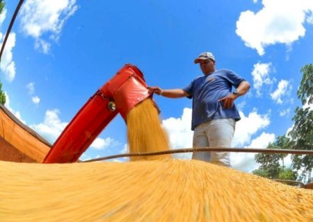 Mato Grosso do Sul tem 2,4 milhões de hectares da safra de soja colhidos