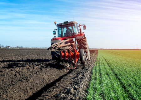 Plano Safra 2024/2025 contará com mais de R$ 475 bilhões, diz ministro da Agricultura