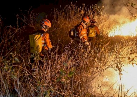 Pantanal poderá ter crise hídrica histórica em 2024, diz estudo