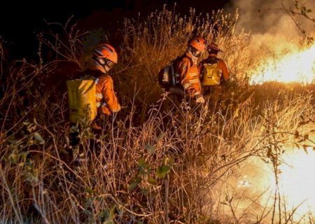Pantanal tem o maior número de focos de incêndio em junho desde 2005