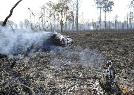 MS tem nove cidades em situação de seca extrema ou severa