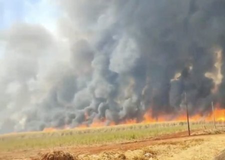 Cresce para 46 o número de cidades de SP em alerta máximo para fogo