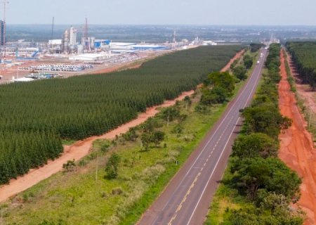 Rota da Celulose: Concessão de 870 Km Será Retomada em 2025