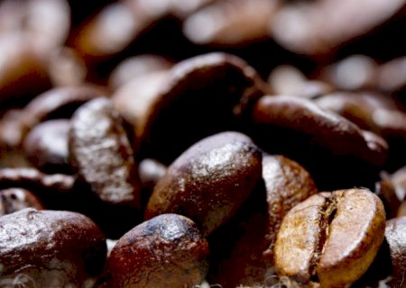 Brasil exporta volume recorde de café em 2024