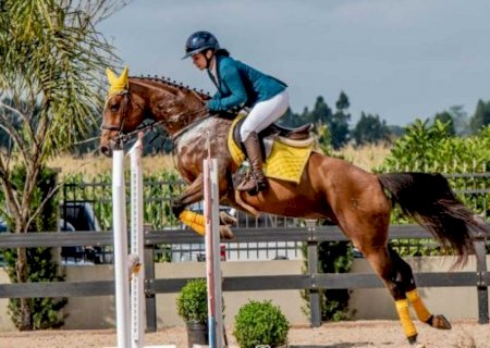 Campeonato de hipismo terá entrada gratuita em Campo Grande