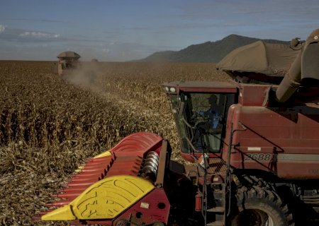Agro registra maior número de recuperações judiciais em quatro anos