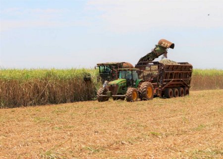 Safra de cana-de-açúcar pode gerar maior produção de etanol da história de MS