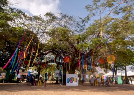 Feira Literária de Bonito celebra 10 anos com edição comemorativa e revisita trajetória do evento