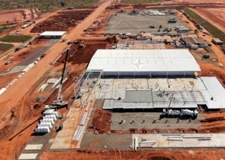 Obra da Arauco avança mais rápido que o previsto